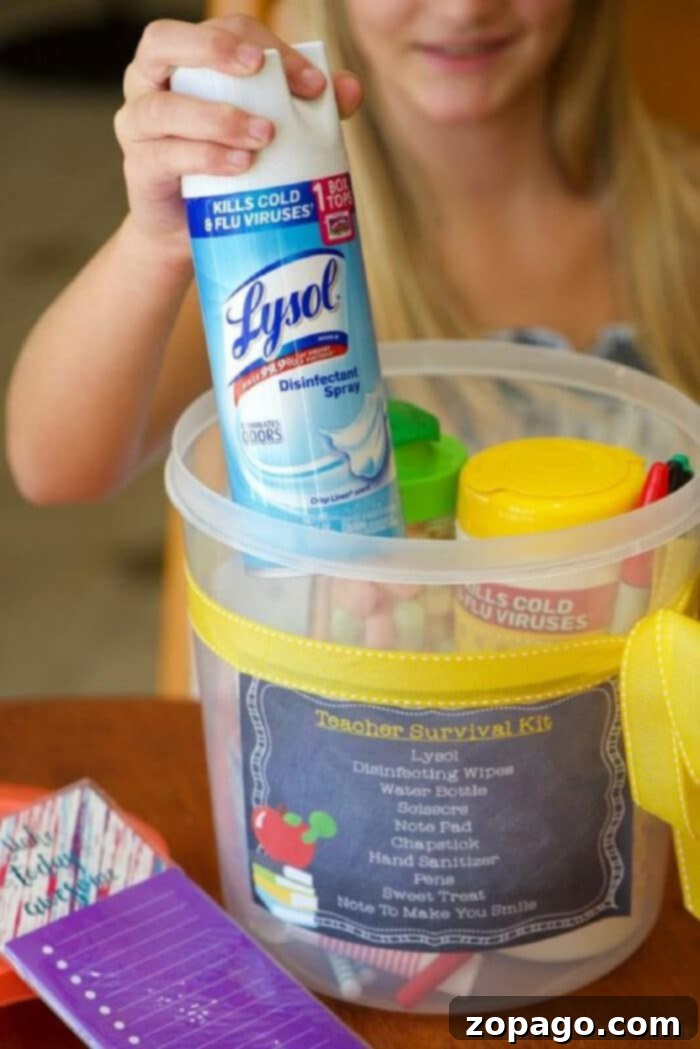 Essential items for a Back to School Teacher Survival Kit