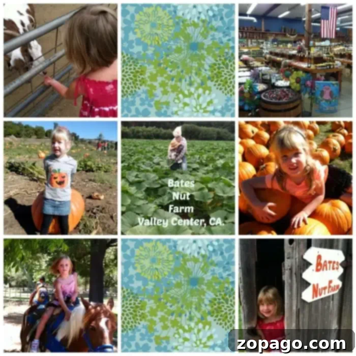 Bates Nut Farm in Valley Center is a great location to take your family for Halloween, Christmas & to see their petting zoo and craft fairs! Lots of stuff. Bates Nut Farm Valley Center