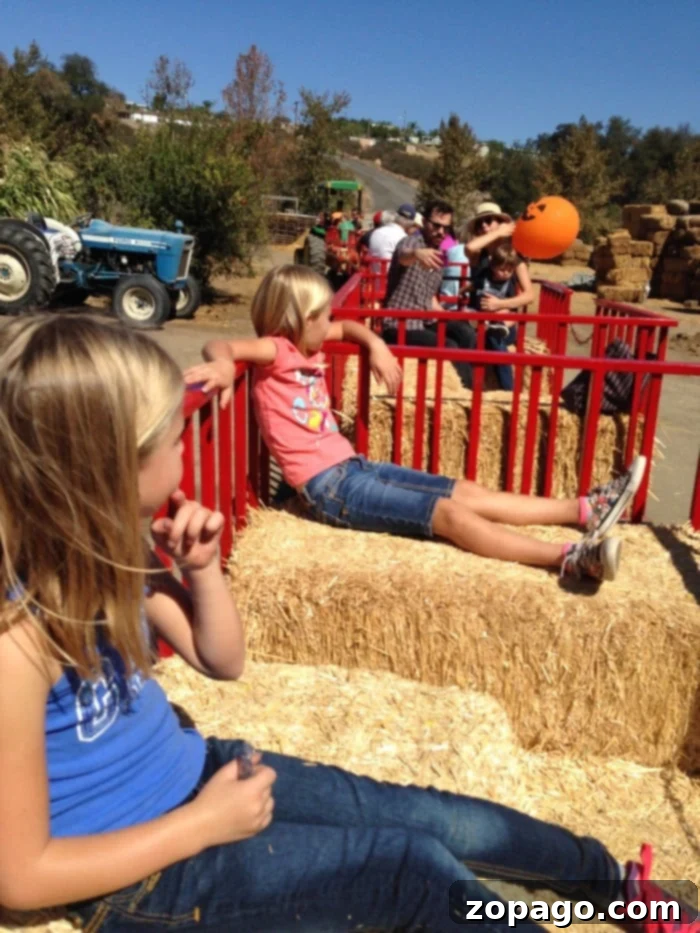 Bates Nut Farm in Valley Center is a great location to take your family for Halloween, Christmas & to see their petting zoo and craft fairs! Lots of stuff. Bates Nut Farm events