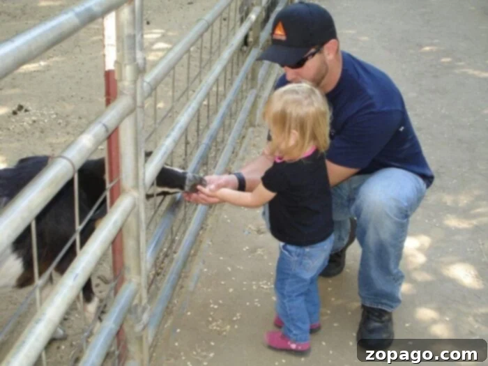 Bates Nut Farm in Valley Center is a great location to take your family for Halloween, Christmas & to see their petting zoo and craft fairs! Lots of stuff. Bates Nut Farm petting zoo