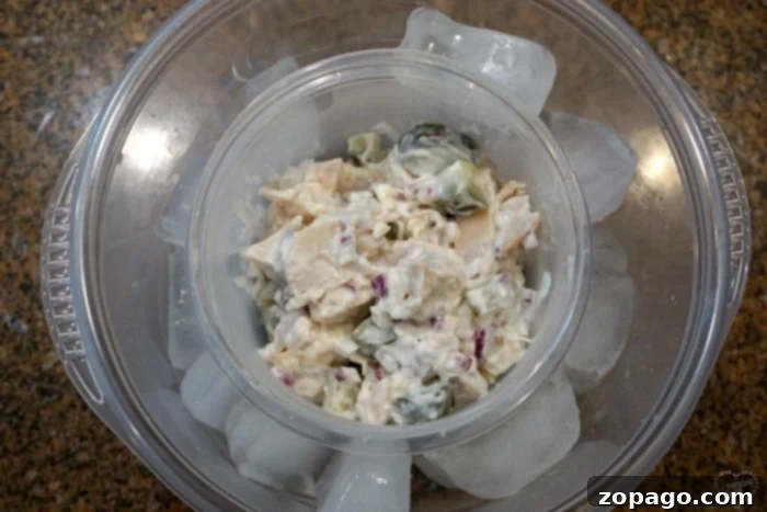 Effortless RV Cooking Adventures 11 Easy chicken salad sandwich recipe for RV lunch