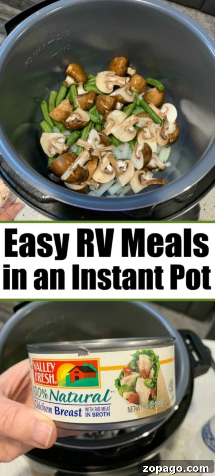 Effortless RV Cooking Adventures 7 Assortment of easy RV meals cooked in an Instant Pot