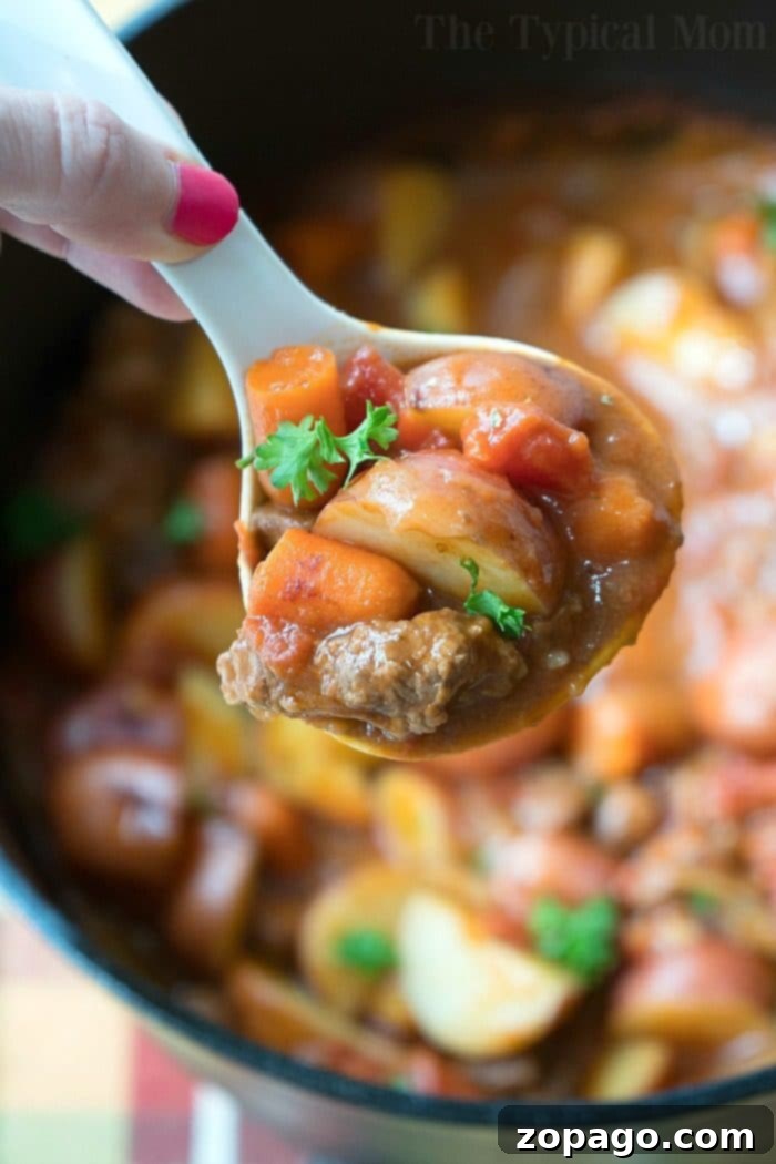 Hearty Dutch Oven Beef Stew: Perfect for Dinner or Camping Hearty Dutch Oven beef stew with tender beef and vegetables