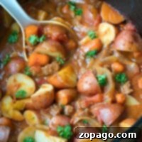 Hearty dutch oven stew with potatoes, carrots, meat, and herbs simmering in a black pot, served with a white ladle.