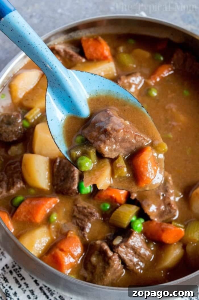 Best Beef Stew for Comfort and Flavor A ladle serving hearty beef stew with carrots, peas, and potatoes from a rustic Dutch oven.