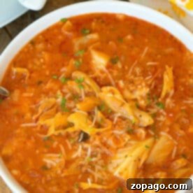 Hearty Slow Cooker Stuffed Cabbage Soup 2 A bowl of hearty slow cooker stuffed cabbage soup with a rich tomato broth, shredded cabbage, rice, and fresh herbs on top.