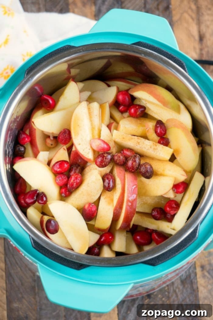 Instant Pot cranberry applesauce: a delicious and festive twist on a classic recipe, perfect for the holidays or any day. A bowl of vibrant instant pot cranberry applesauce, a festive and healthy treat, garnished with whole cranberries and a hint of cinnamon.