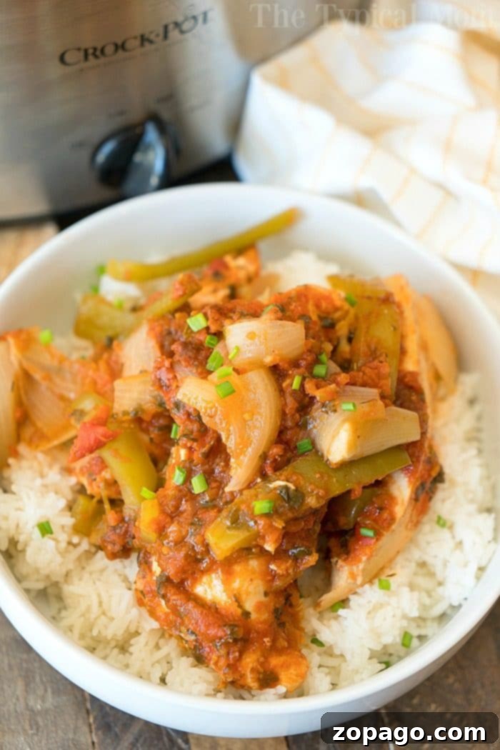 Salsa chicken crockpot recipe that only requires a few ingredients and is a healthy slow cooker dinner for sure! Shred it and make tacos or serve it on top of rice for a delicious meal packed with vegetables. If you need an easy family friendly dinner that is inexpensive but super flavorful this is it. #crockpot #slowcooker #salsachicken #chicken #healthy #salsa #crockpotrecipes #thetypicalmom Salsa Chicken Crockpot Recipe 3