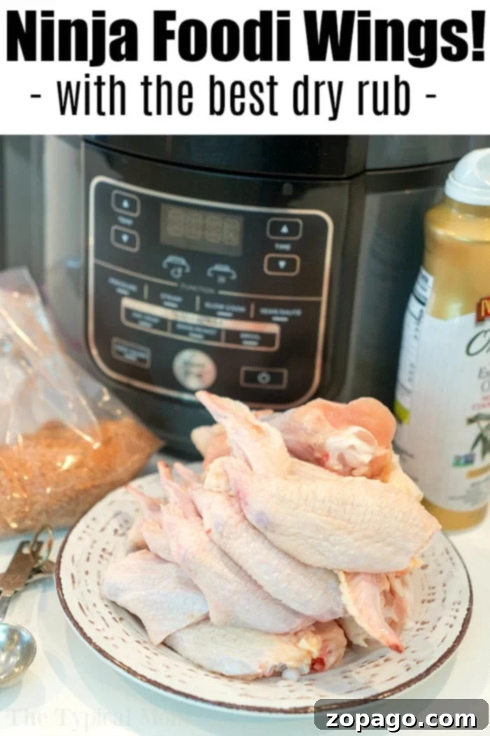 Ninja Foodi chicken wings recipe and the best rub for chicken wings ever! If you're looking for a healthy alternative to fried chicken with the same great taste these naked chicken wings in your air fryer are the answer. Simple and flavorful without using any oil to cook them. #airfryer #chicken #wings #chickenwings #dryrub #best #naked #rub #simple #ninjafoodi #airfryerwings A plate of raw chicken wings awaits the Ninja Foodi air fryer, ready to become the ultimate air fryer wings recipe. A packet of seasoning and a bottle of mustard sit nearby, promising flavor perfection. The text above reads, "Ninja Foodi Wings! - with the best dry rub -".