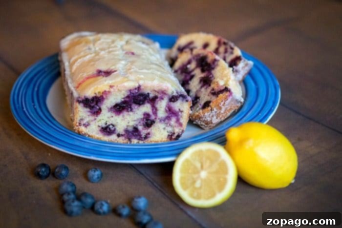 Bright Lemon Blueberry Loaf 4 Lemon Blueberry 3