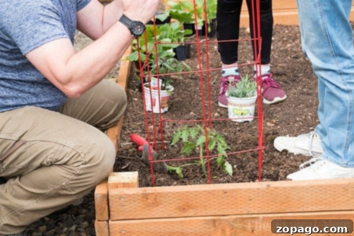Elevated Edibles 3 planting tomatoes