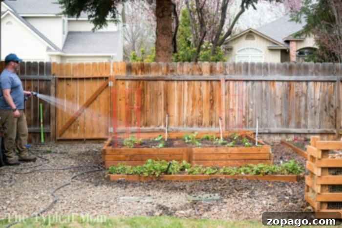 Elevated Edibles 5 how to plant a garden