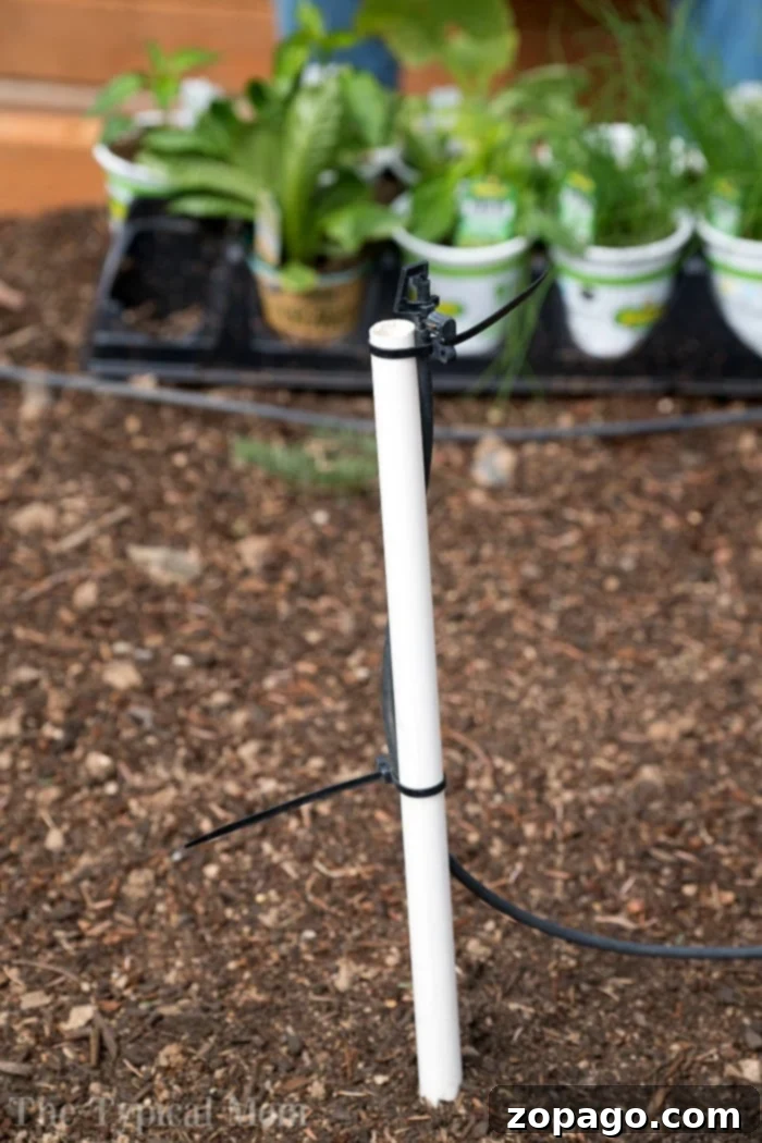 Elevated Edibles 6 garden drip system