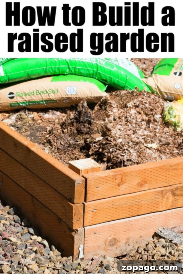 How to make a vegetable garden inexpensively in your own backyard! Growing your own vegetables and fruits is fun and believe me, kids love gardening too. #gardening #vegetables #fruit #vegetablegarden #diy #doityourself #homeimprovement #summer #spring how to start a vegetable garden