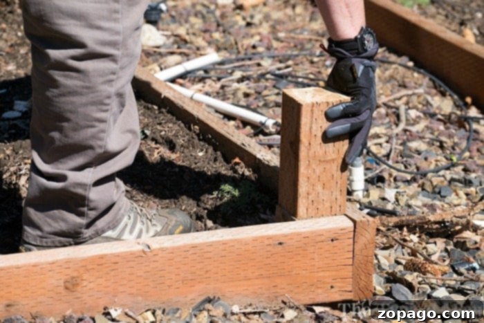 Elevated Edibles 2 How to Make a Vegetable Garden