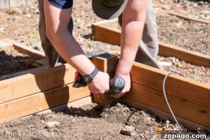 How to make a vegetable garden inexpensively in your own backyard! Growing your own vegetables and fruits is fun and believe me, kids love gardening too. #gardening #vegetables #fruit #vegetablegarden #diy #doityourself #homeimprovement #summer #spring how to build a raised vegetable garden