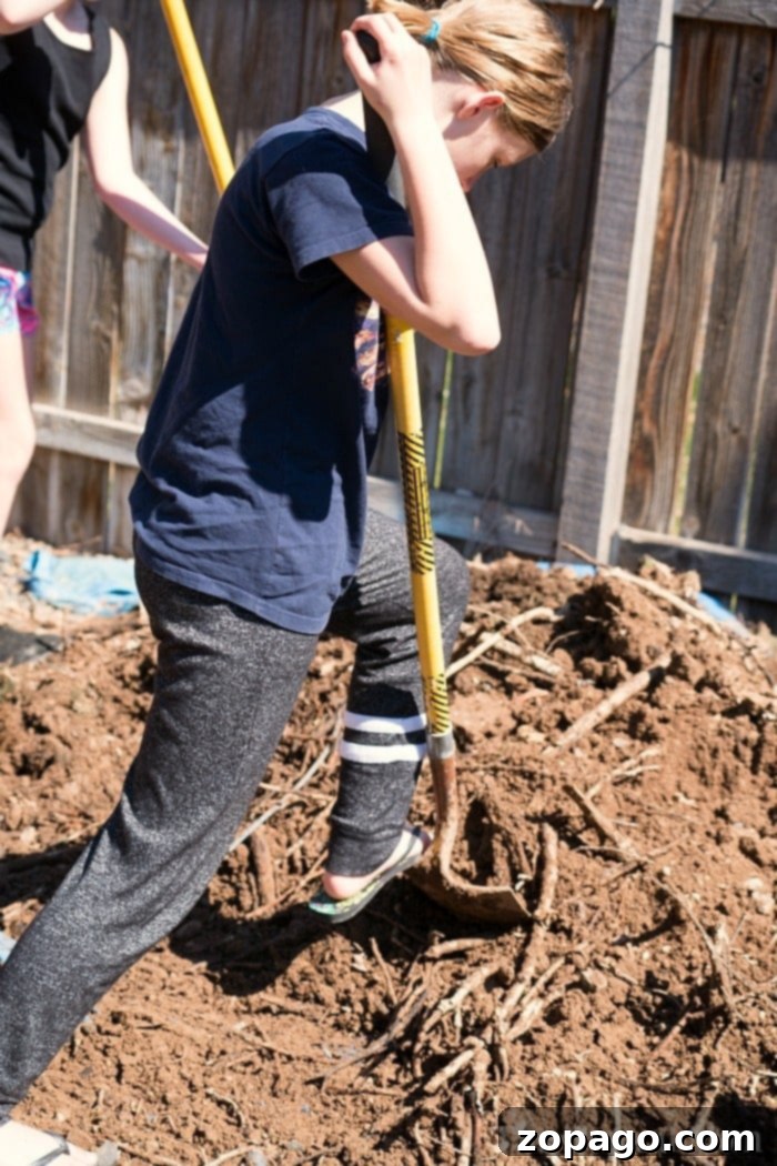 How to make a vegetable garden inexpensively in your own backyard! Growing your own vegetables and fruits is fun and believe me, kids love gardening too. #gardening #vegetables #fruit #vegetablegarden #diy #doityourself #homeimprovement #summer #spring building a raised garden