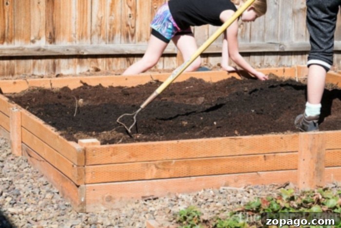 How to make a vegetable garden inexpensively in your own backyard! Growing your own vegetables and fruits is fun and believe me, kids love gardening too. #gardening #vegetables #fruit #vegetablegarden #diy #doityourself #homeimprovement #summer #spring building a vegetable garden