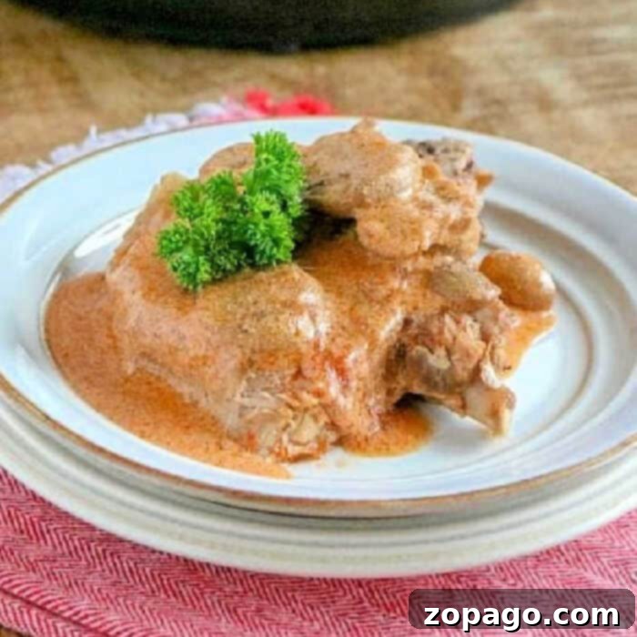Perfectly Tender Pressure Cooker Pork Chops 2 A plate of tender pressure cooker pork chops, smothered in rich gravy and garnished with fresh parsley. It rests elegantly on a white plate with a red cloth beneath, offering both a visual and culinary delight.