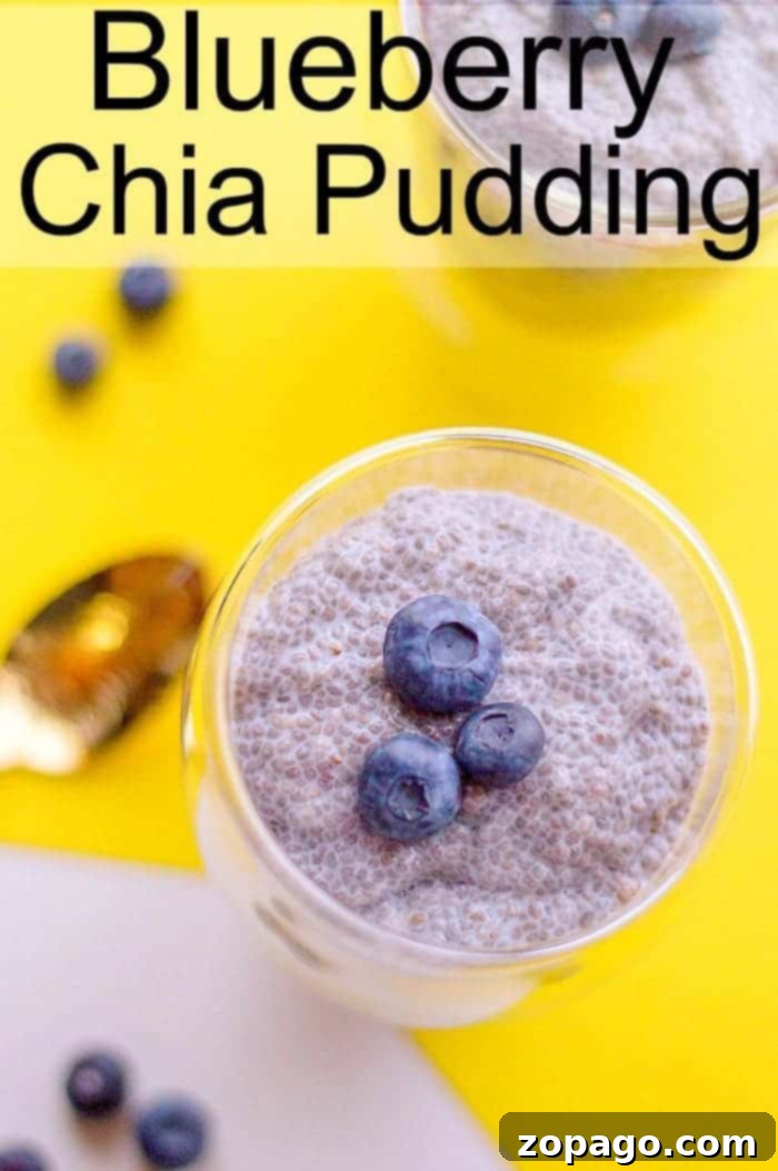 Whip Up Delicious Milk Chia Pudding 7 Chia Seed Pudding with Milk in a glass, ready to eat.