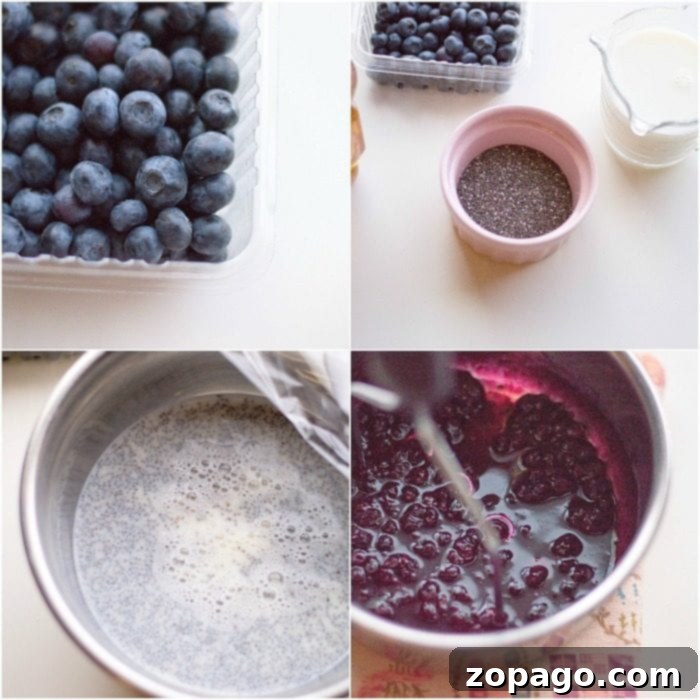 This is how to make chia seed pudding topped with blueberries! With a touch of sweetness this treat is light dairy free dessert everyone will love. Close-up of blueberry chia dessert, showcasing the creamy texture and fresh fruit topping. A perfect light, dairy-free treat.