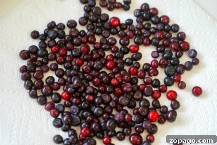 Whip Up Delicious Milk Chia Pudding 3 A bowl of fresh huckleberries, suggesting a delicious topping for chia seed pudding.