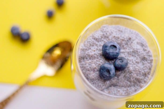 Easy chia dessert recipe topped with blueberries is here. With a touch of sweetness this treat is light dairy free dessert everyone will love. #dairyfree #chiapudding #chia #dessert #blueberry #almondmilk Easy chia dessert recipe topped with blueberries is here. With a touch of sweetness this treat is light dairy free dessert everyone will love. #dairyfree #chiapudding #chia #dessert #blueberry #almondmilk