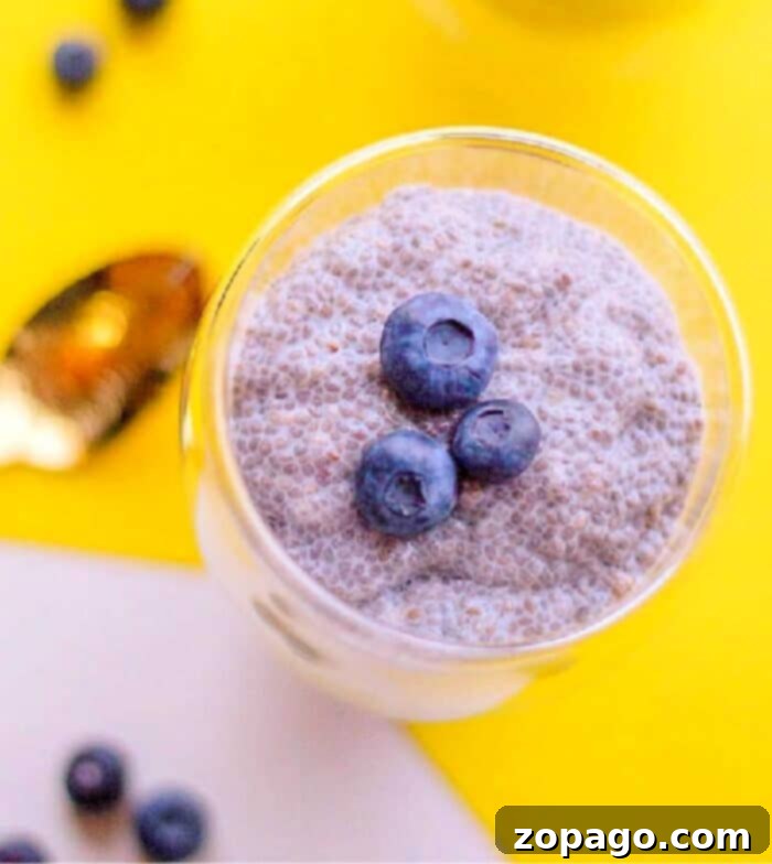 Whip Up Delicious Milk Chia Pudding 5 Vanilla chia seed pudding in a glass jar, showing its creamy texture and versatility.