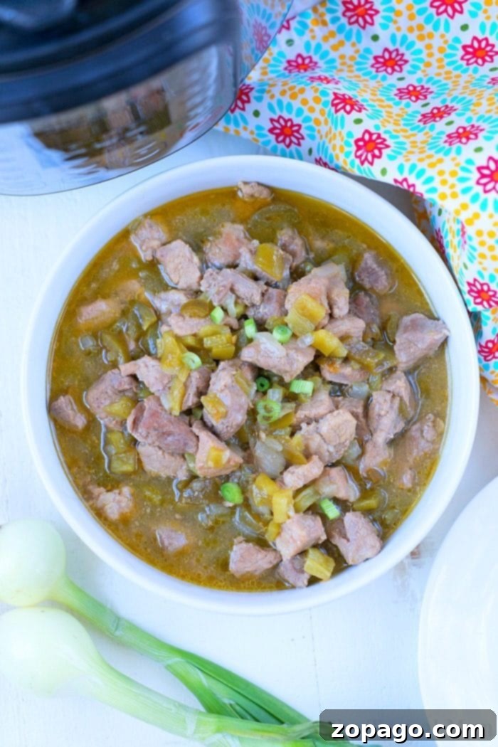 Instant Pot Chili Verde Close-up of Pressure Cooker Chili Verde showing tender pork pieces and green chile sauce.