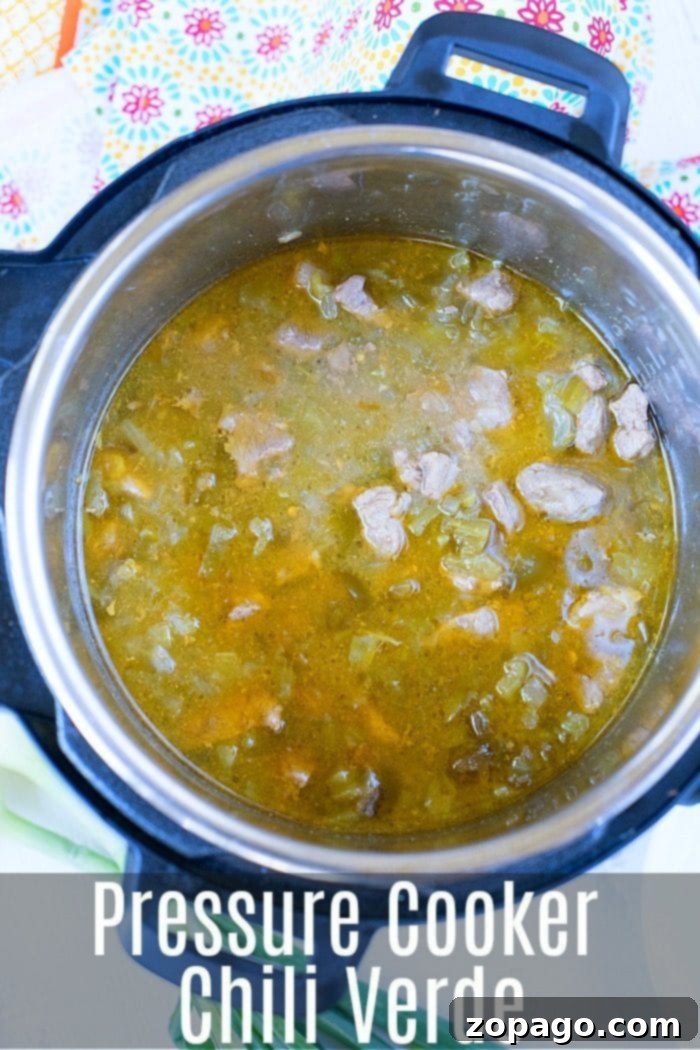 Delicious Pork Chili Verde in Pressure Cooker Hearty pressure cooker chili verde with rich sauce and tender pork, ready to serve.