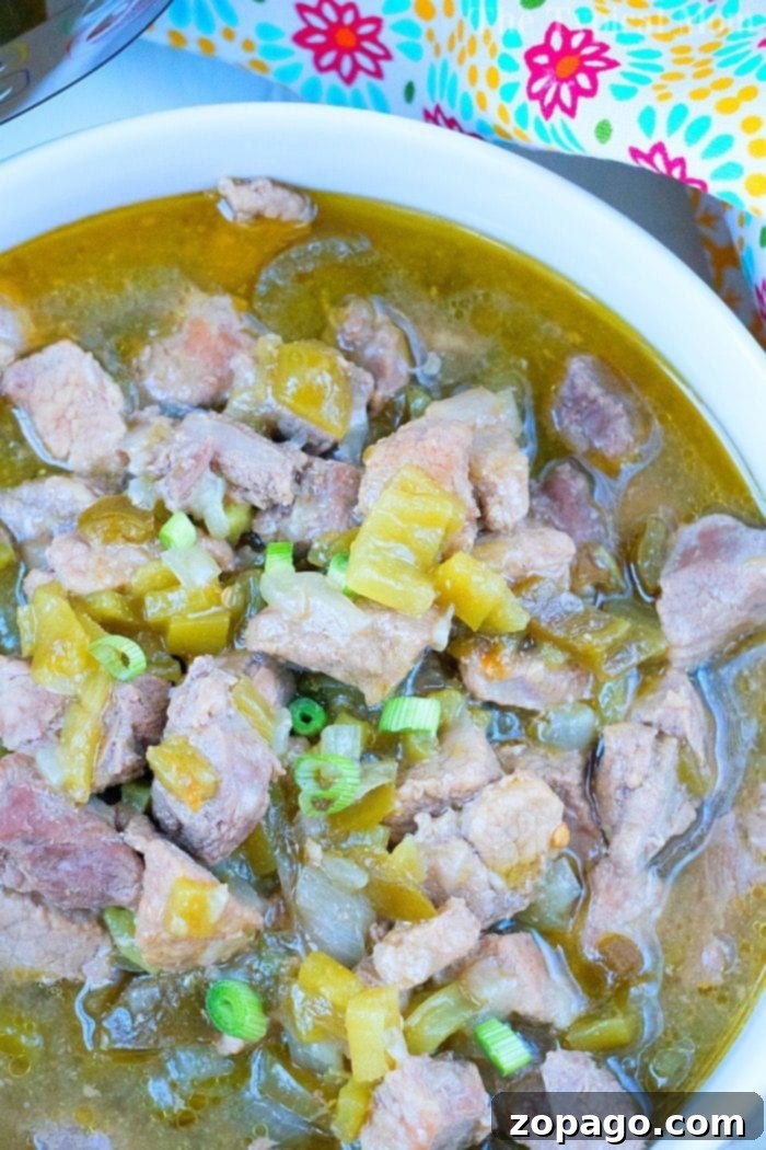 Pressure Cooker Chile Verde A bowl of delicious Instant Pot chili verde topped with fresh cilantro.