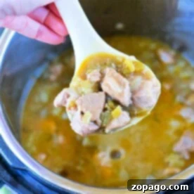 A ladle filled with a hearty stew containing chunks of meat and vegetables is being held above a pot. The stew, reminiscent of pressure cooker chili verde with its thick, brothy consistency, fills the pot halfway. A hand with painted nails holds the ladle.