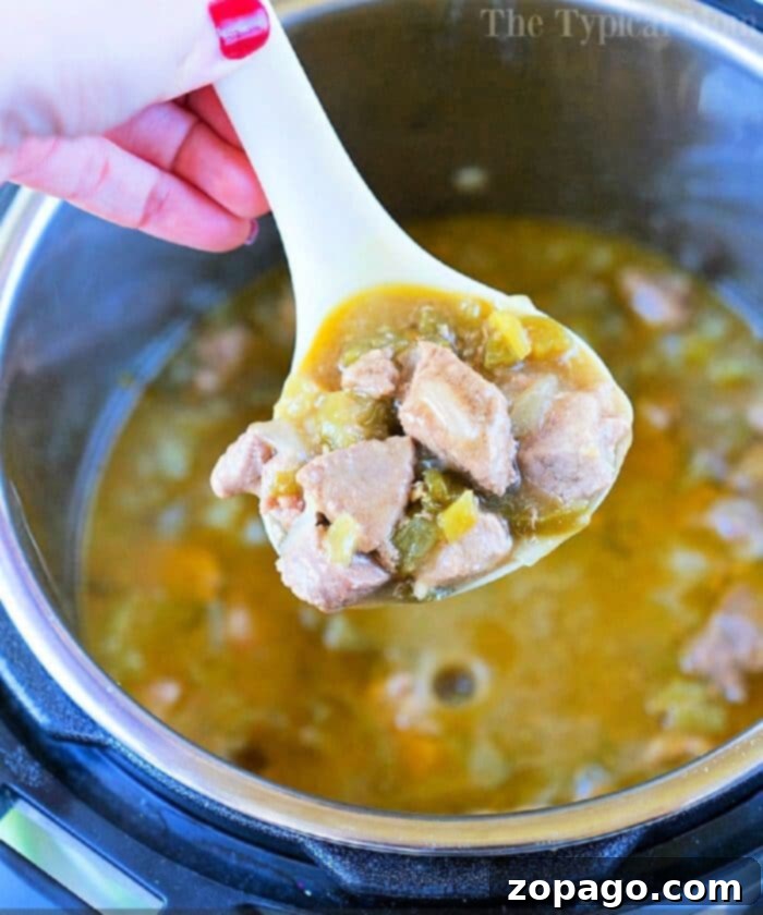 Zesty Instant Pot Chili Verde 3 A ladle filled with a hearty stew containing chunks of meat and vegetables is being held above a pot. The stew, reminiscent of pressure cooker chili verde with its thick, brothy consistency, fills the pot halfway. A hand with painted nails holds the ladle.