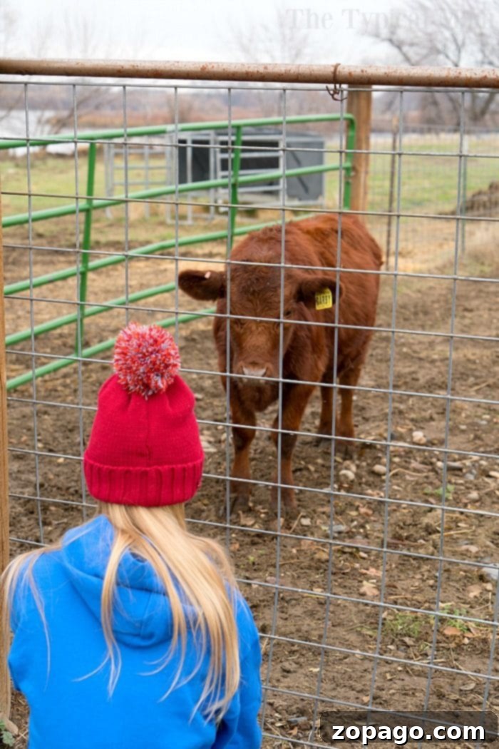 If you're not familiar with the 4H program let me tell you how special it is, how it works, and share their new 30 days of doing campaign and contest too! #4h #farm #learning #kids 4H Program