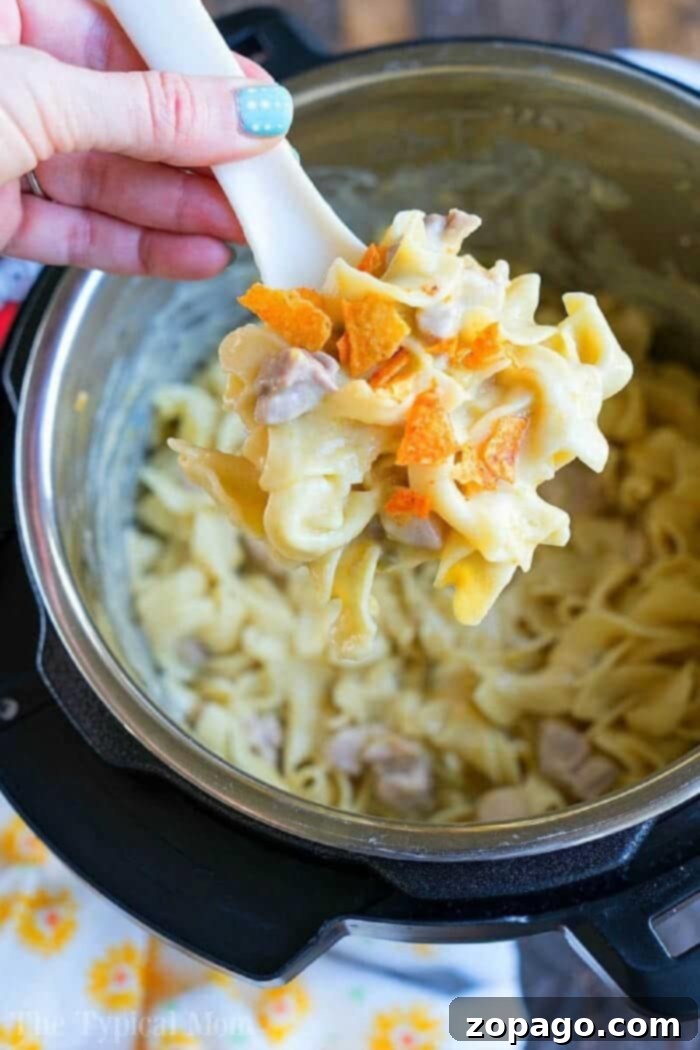 Cheesy Instant Pot Dorito Casserole 5 A hand holds a spoonful of creamy Instant Pot Dorito Casserole, with chicken, noodles, and a sprinkle of chives.