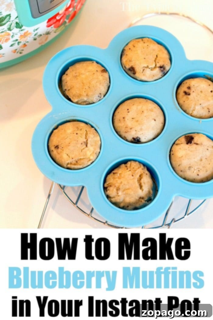 Instant Pot blueberry muffins are the perfect bite size breakfast that's quick & kids love! If you're looking for a pressure cooker breakfast we've got it! #instantpotrecipes #instantpot #breakfast #blueberrymuffins #muffins #crockpotexpressrecipes Pressure cooker blueberry muffins, beautifully arranged