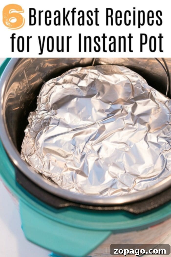 Instant Pot blueberry muffins are the perfect bite size breakfast that's quick & kids love! If you're looking for a pressure cooker breakfast we've got it! #instantpotrecipes #instantpot #breakfast #blueberrymuffins #muffins #crockpotexpressrecipes Instant Pot breakfast recipes