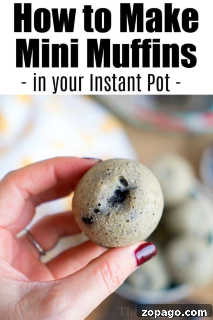 Instant Pot blueberry muffins are the perfect bite size breakfast that's quick & kids love! If you're looking for a pressure cooker breakfast we've got it! #instantpotrecipes #instantpot #breakfast #blueberrymuffins #muffins #crockpotexpressrecipes Mini muffin recipe for Instant Pot