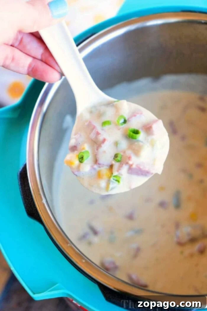 Corned Beef Revival Soup 2 Creamy Pressure Cooker Leftover Corned Beef Soup