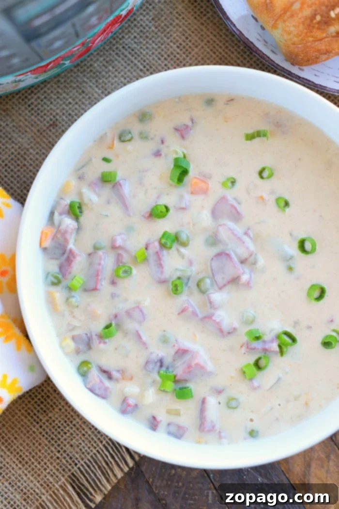 Corned beef soup using your leftover corned beef from St. Patricks Day! Make this chowder in your Instant Pot, Ninja Foodi or on your stovetop tonight! #cornedbeef #leftover #cornedbeefandcabbage #instantpotrecipes #instantpot #ninjafoodirecipes #ninjafoodi #chowder #soup #thetypicalmom Bowl of Creamy Corned Beef Chowder