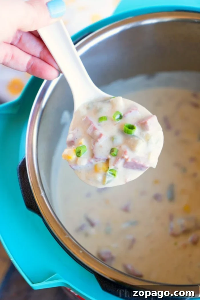 Instant Pot corned beef soup using your leftover corned beef from St. Patricks Day! Make this chowder in your Instant Pot, Ninja Foodi or on your stovetop tonight! #cornedbeef #leftover #cornedbeefandcabbage #instantpotrecipes #instantpot #ninjafoodirecipes #ninjafoodi #chowder #soup #thetypicalmom Instant Pot Corned Beef Soup in a serving bowl