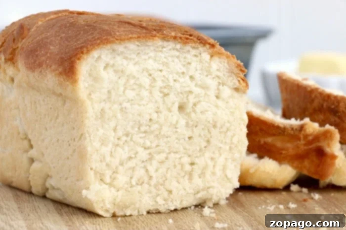 Ultimate Ninja Air Fryer Meals 9 air fryer bread recipe
