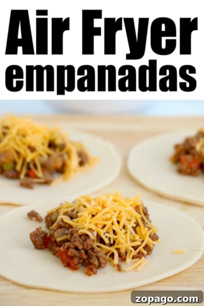 Ultimate Ninja Air Fryer Meals 10 empanadas in air fryer