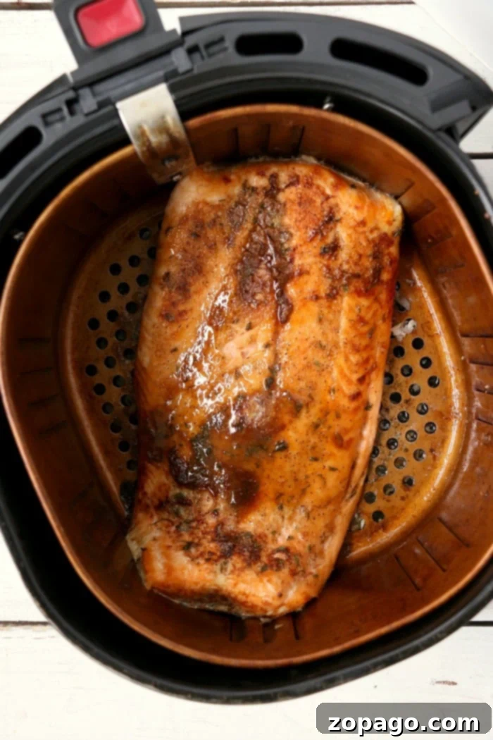 Ultimate Ninja Air Fryer Meals 11 salmon in air fryer