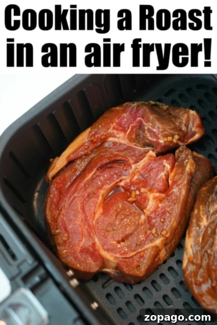 Ultimate Ninja Air Fryer Meals 14 roast in air fryer