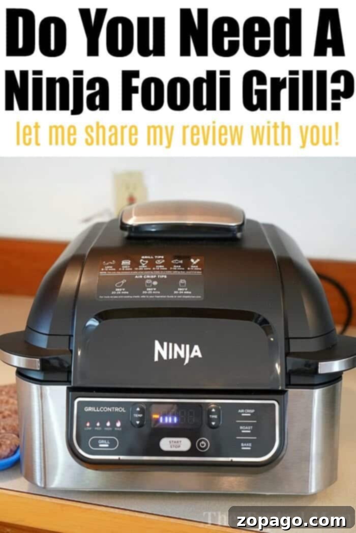 Ultimate Ninja Air Fryer Meals 6 ninja foodi pro grill