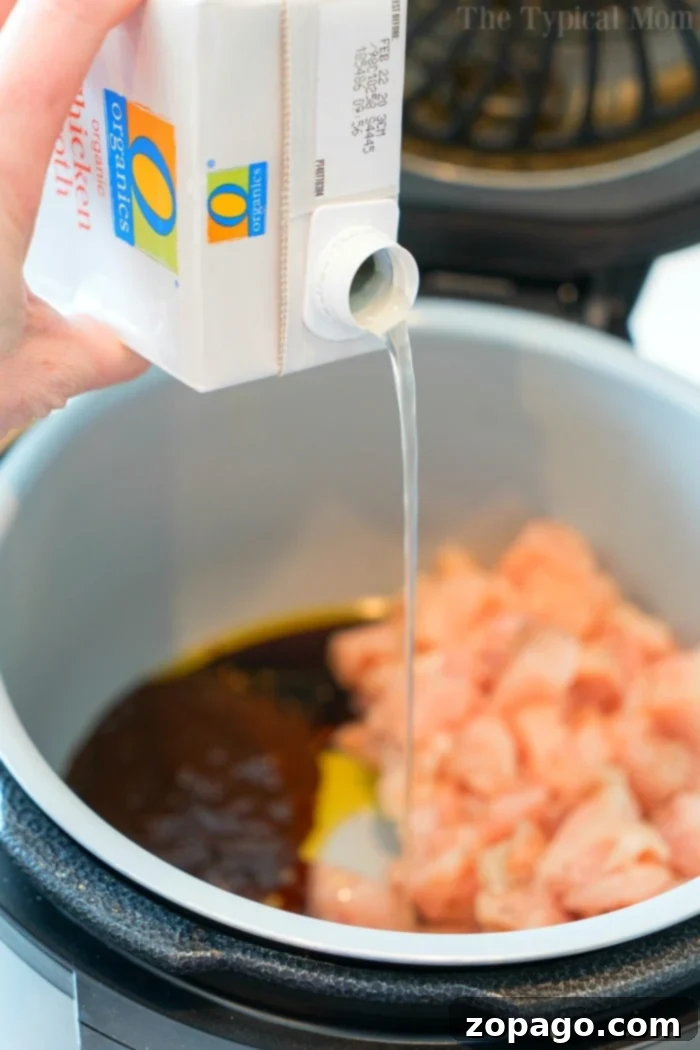 Easy Instant Pot Cashew Chicken 8 A serving of Ninja Foodi chicken, showcasing tender chicken pieces in a rich sauce, ready to be enjoyed.