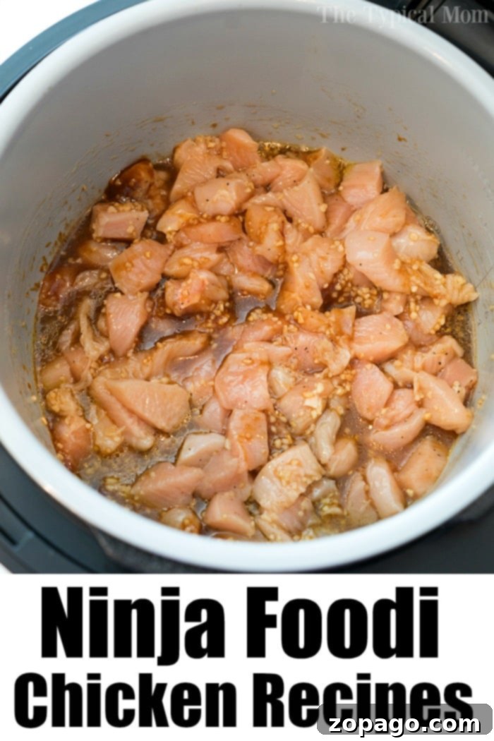 Easy Instant Pot Cashew Chicken 9 Delicious Ninja Foodi chicken recipes, perfect for quick and flavorful weeknight dinners.