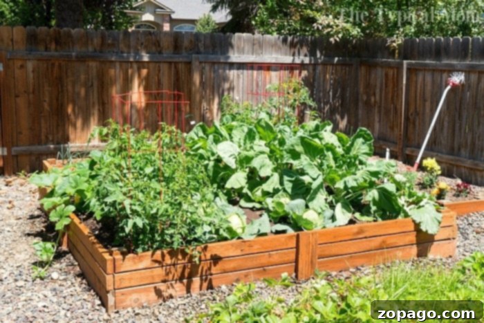 Grow Your Juiciest Strawberries Ever 2 building a garden with raised beds