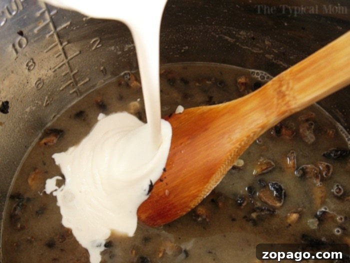 Homemade cream of mushroom soup instant pot cream of mushroom